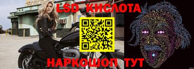 apvp Нальчик